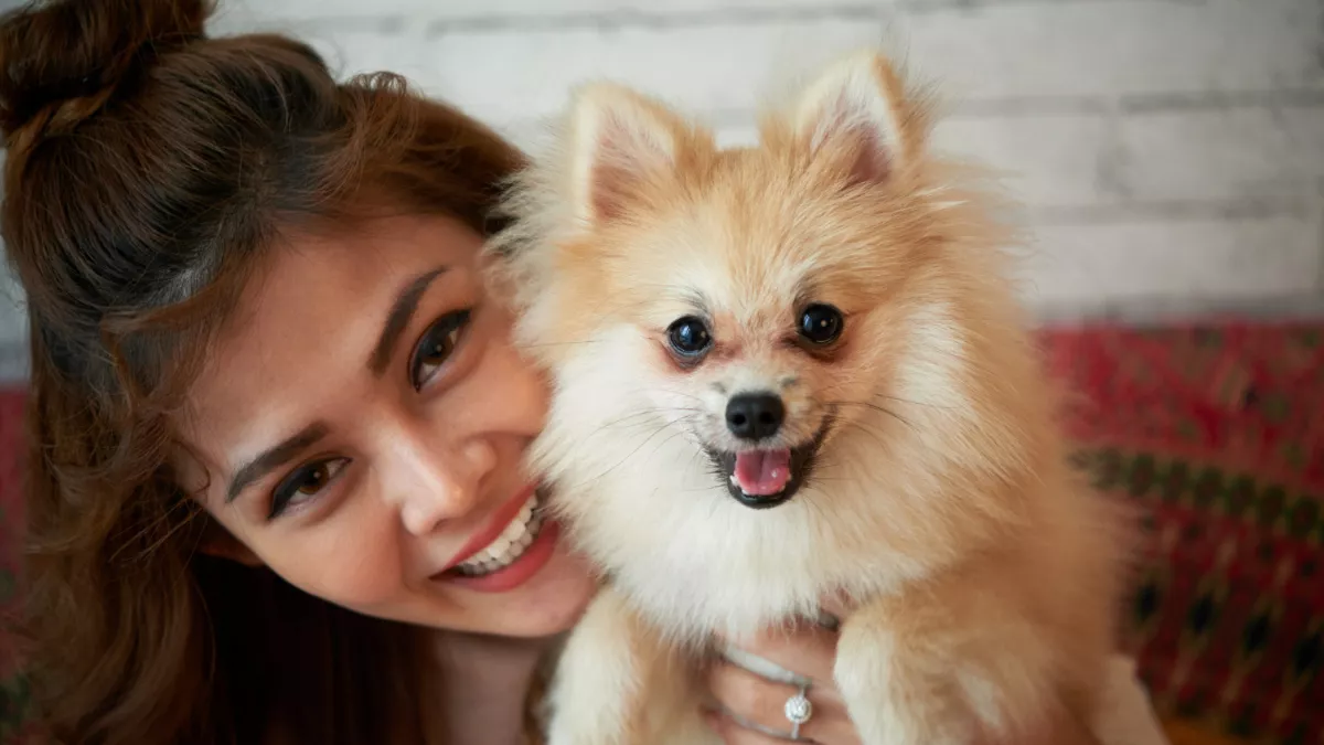 6 Smallest Dog Breeds to Love in a Small Space