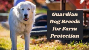 4 Livestock Guardian Dog Breeds for Farm Protection