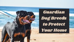 7 Night‑time Guardian Dog Breeds to Protect Your Home